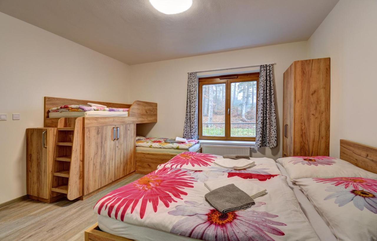 Apartmány Sunny Lipno Lipno nad Vltavou Kültér fotó
